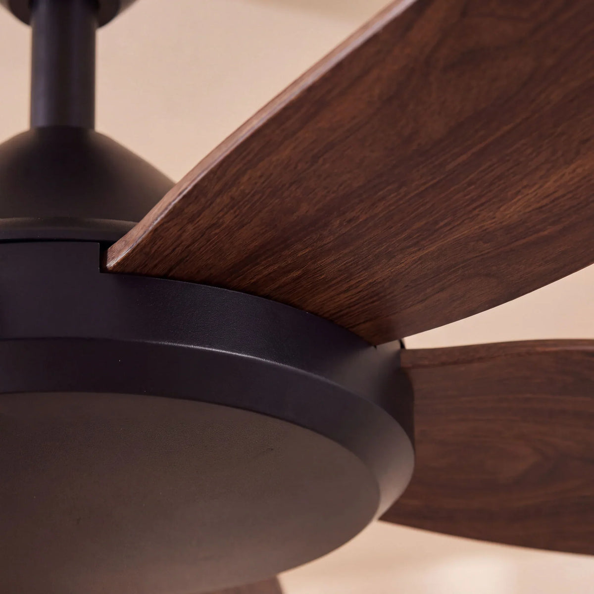 Indoor Ceiling Fans
