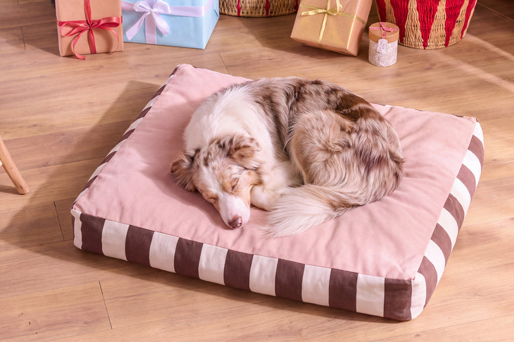 Gifts For Pet Lovers