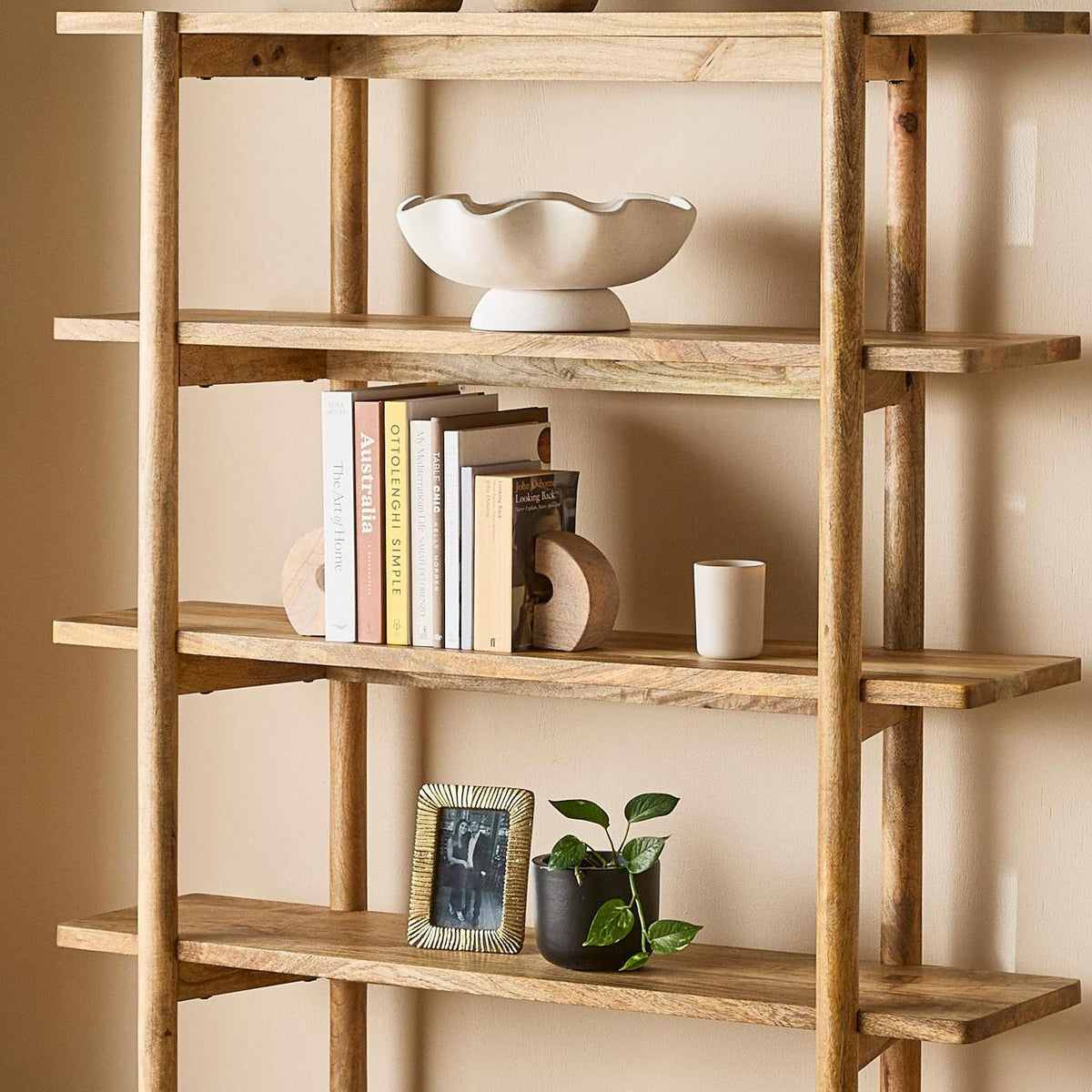 Bookcases & Shelving