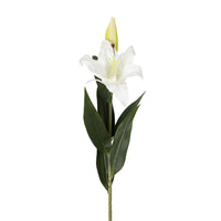 Bloomery Lily Stem 76cm