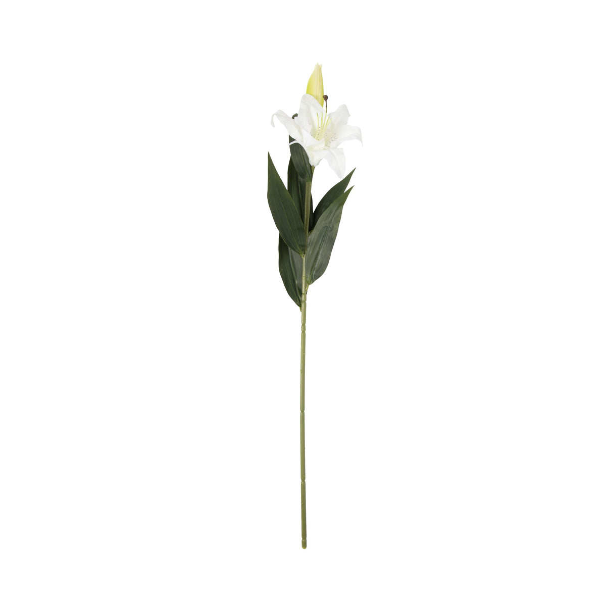 Bloomery Lily Stem 76cm