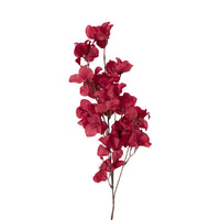 Bloomery Bougainvillea Stem Wine 86cm