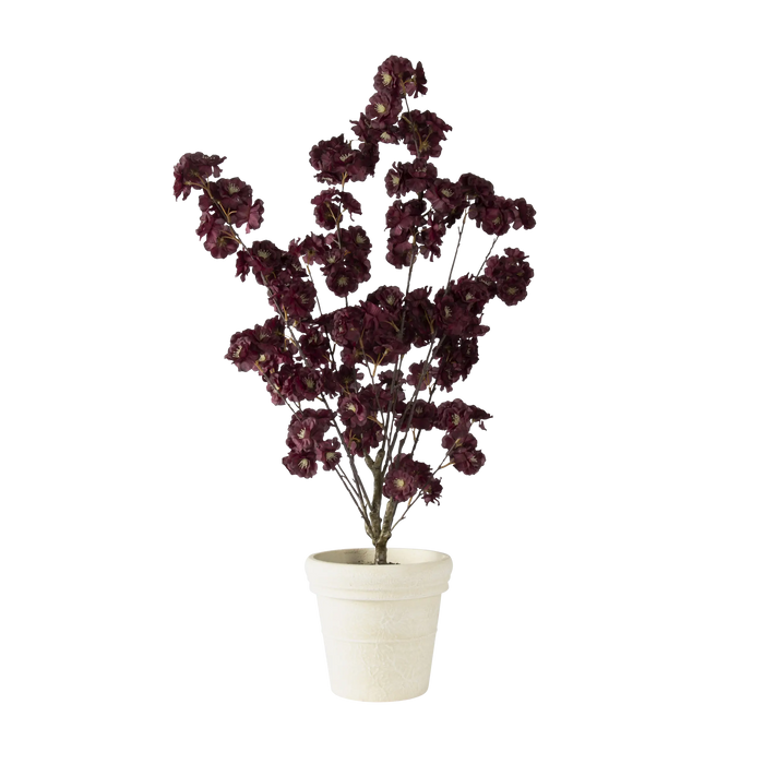 Folia Cherry Blossom in Paper Mache Pot