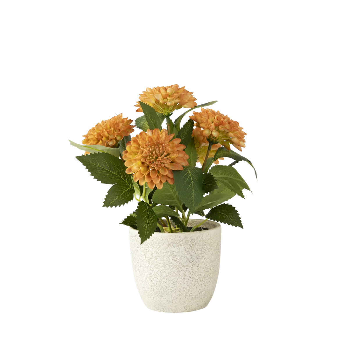 Folia Pom Pom Flowers in Paper Mache Pot