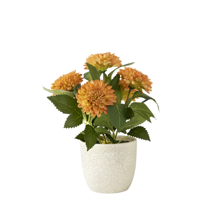 Folia Pom Pom Flowers in Paper Mache Pot