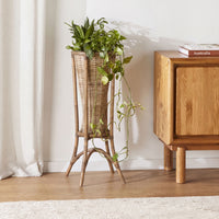 lifestyle_insitu:
