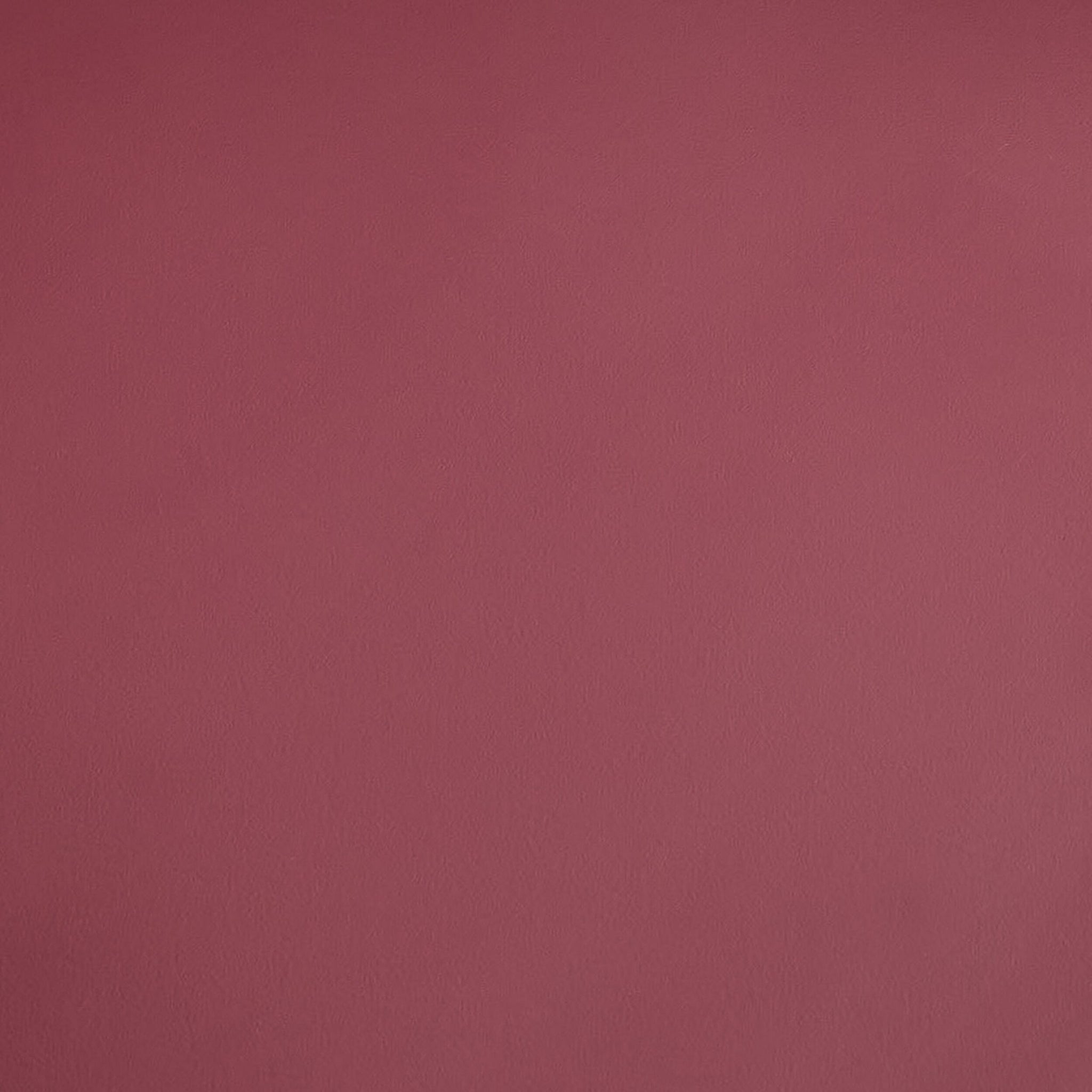 Arc Occasional Chair Dusty Rose
