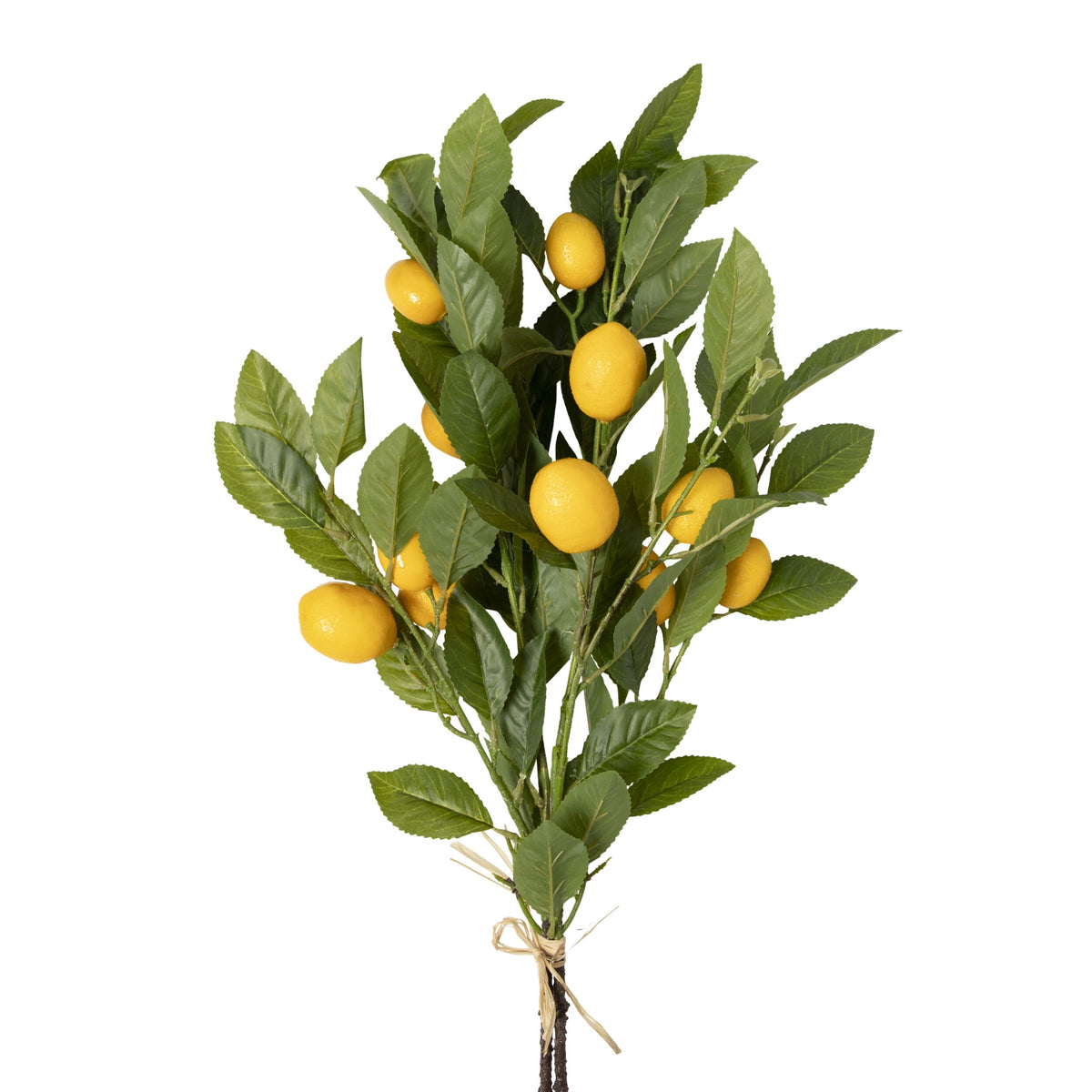 Bloomery Lemon Stem 81cm