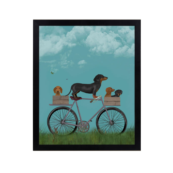 Dachshunds On Bicycle Framed Print 55x45cm