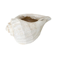 Seashell Planter