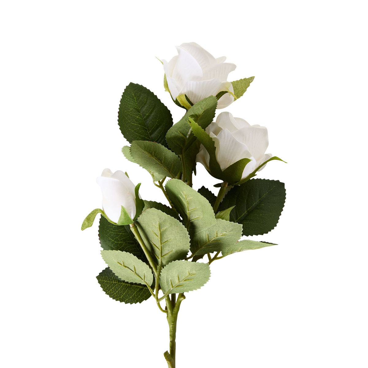Bloomery Rose Stem White 51cm