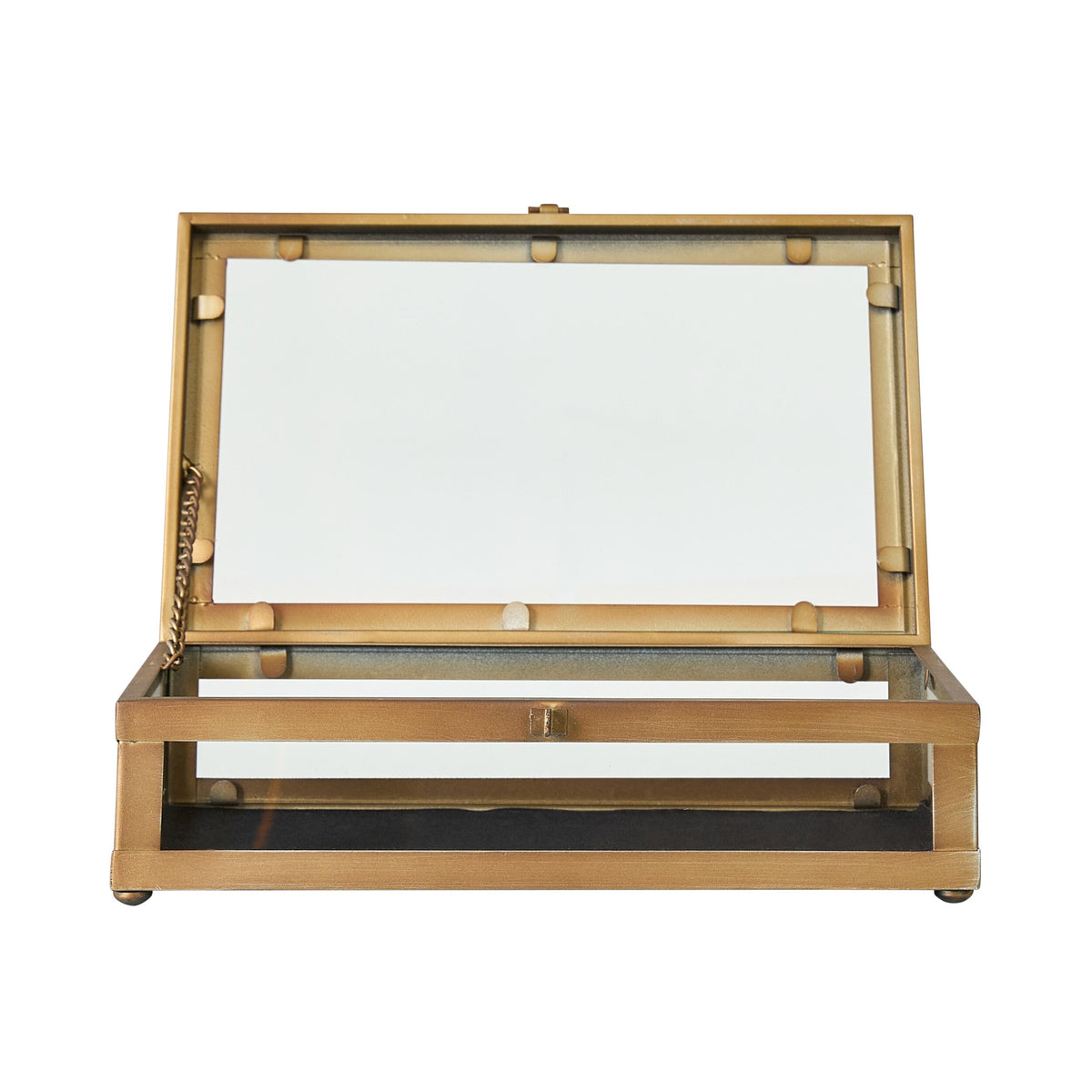 Darwin Jewellery Box