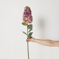 lifestyle_insitu: