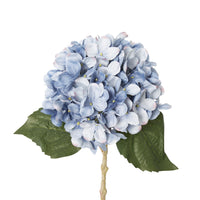 Bloomery Hydrangea Stem Cornflower 46cm