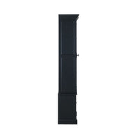 Camille 2 Door Display Cabinet Black