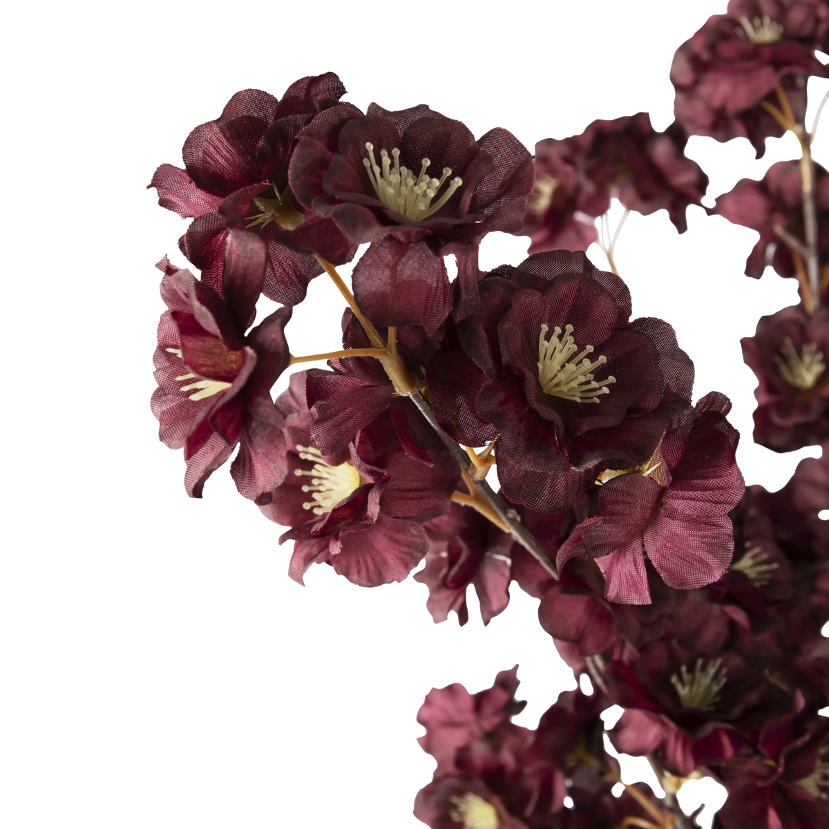 Folia Cherry Blossom in Paper Mache Pot
