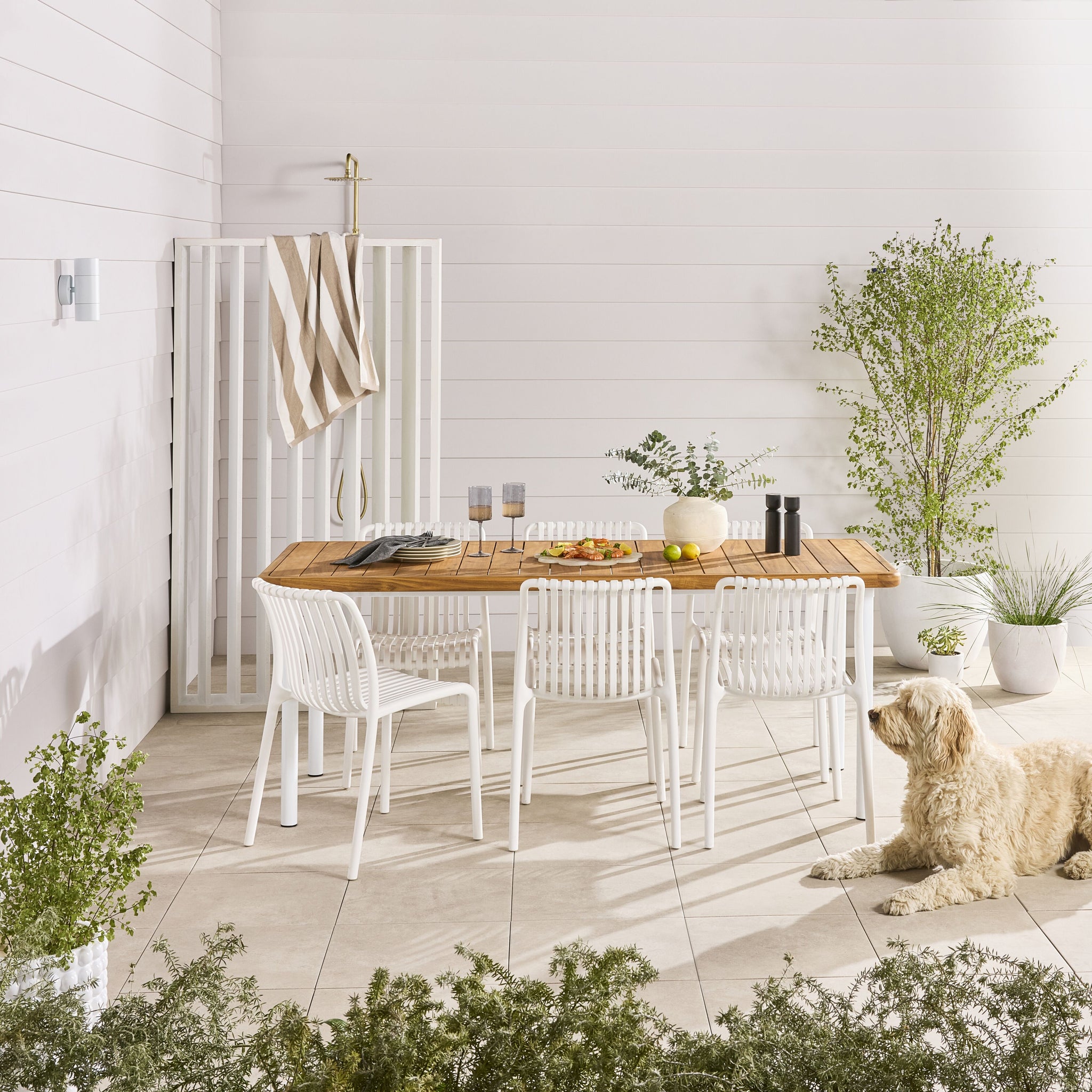lifestyle_insitu: