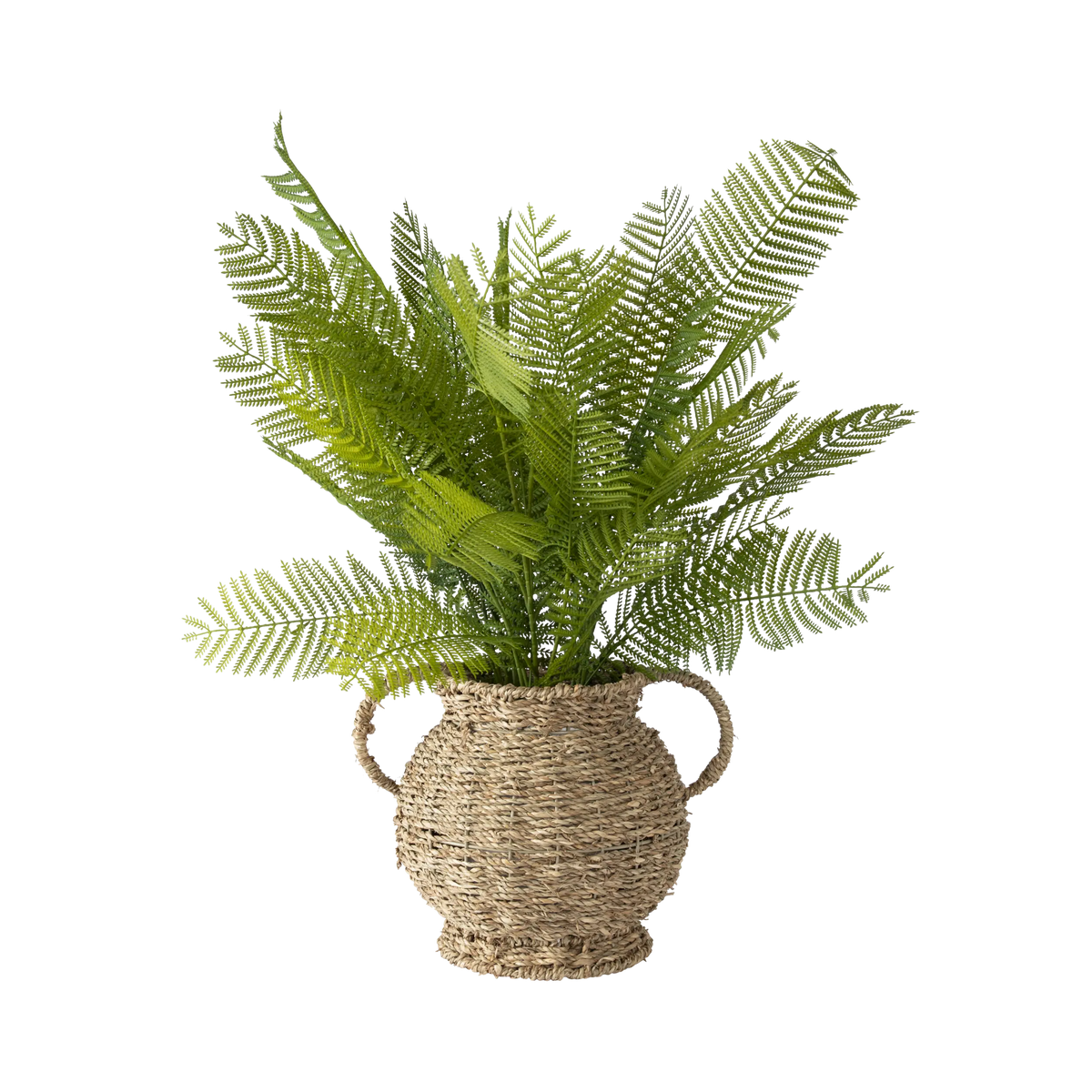 Folia Fern in Rattan Vase