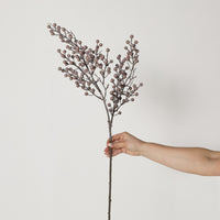 lifestyle_insitu: