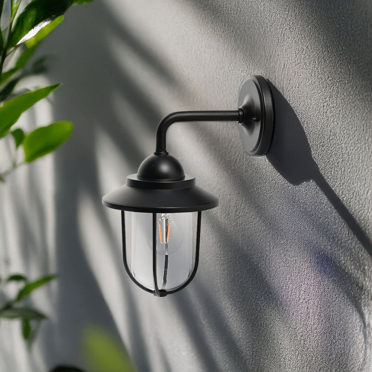 lifestyle_insitu:
