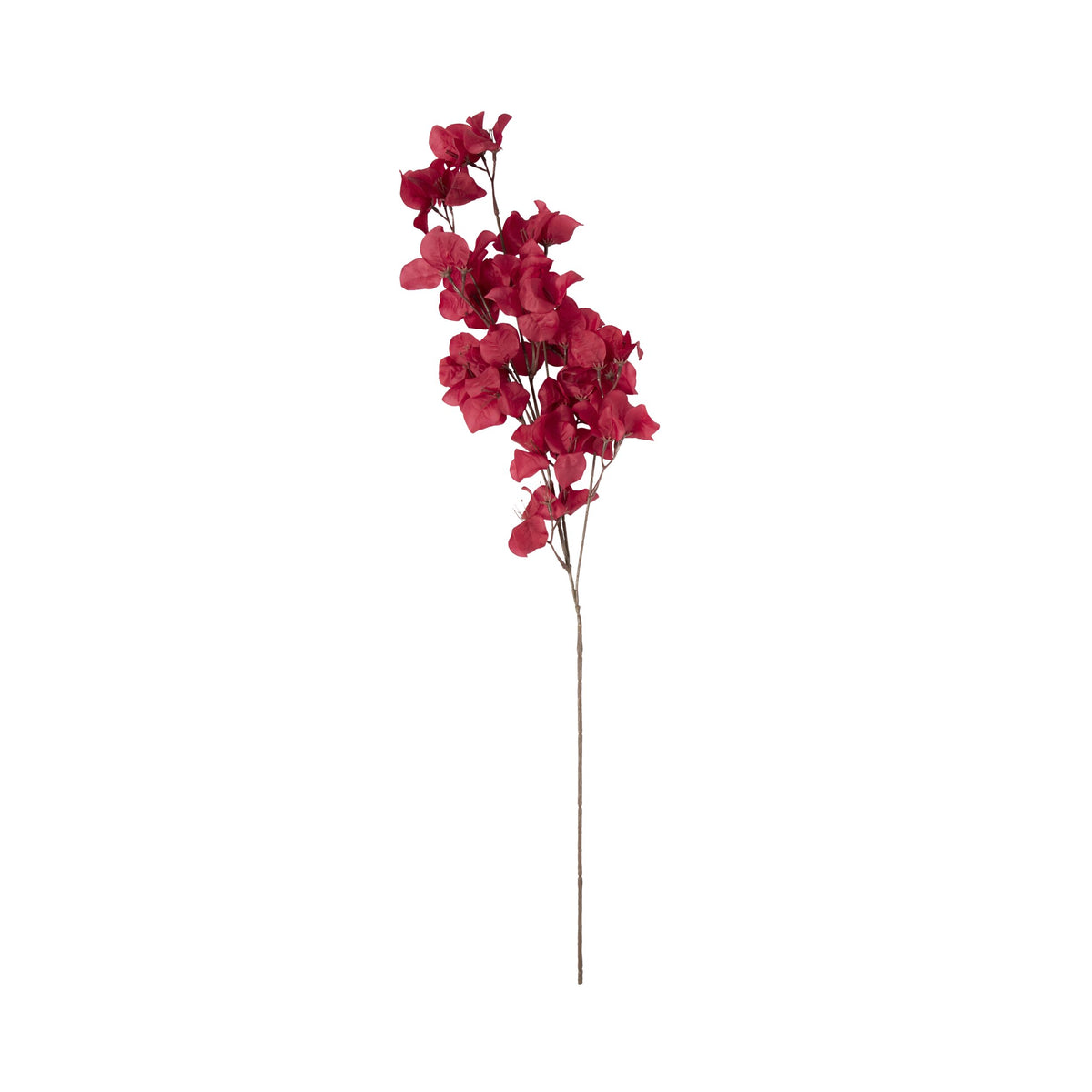 Bloomery Bougainvillea Stem Wine 86cm