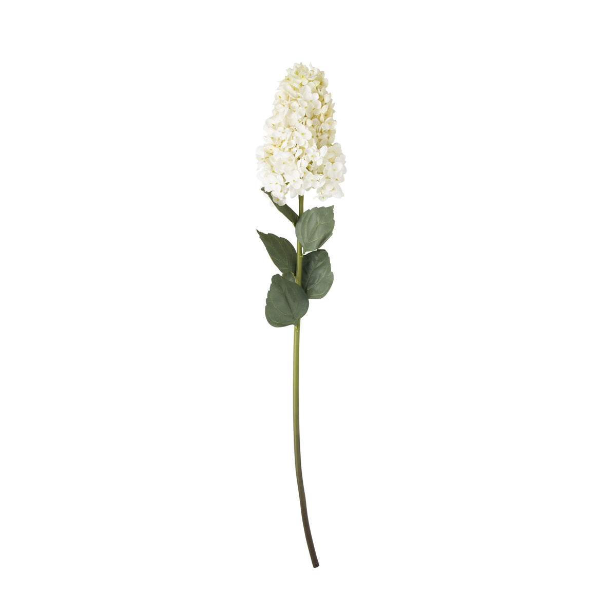 Bloomery Hydrangea Stem Cream 95cm