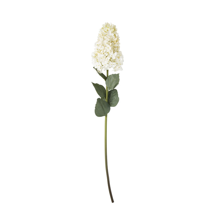 Bloomery Hydrangea Stem Cream 95cm