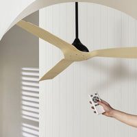lifestyle_insitu: