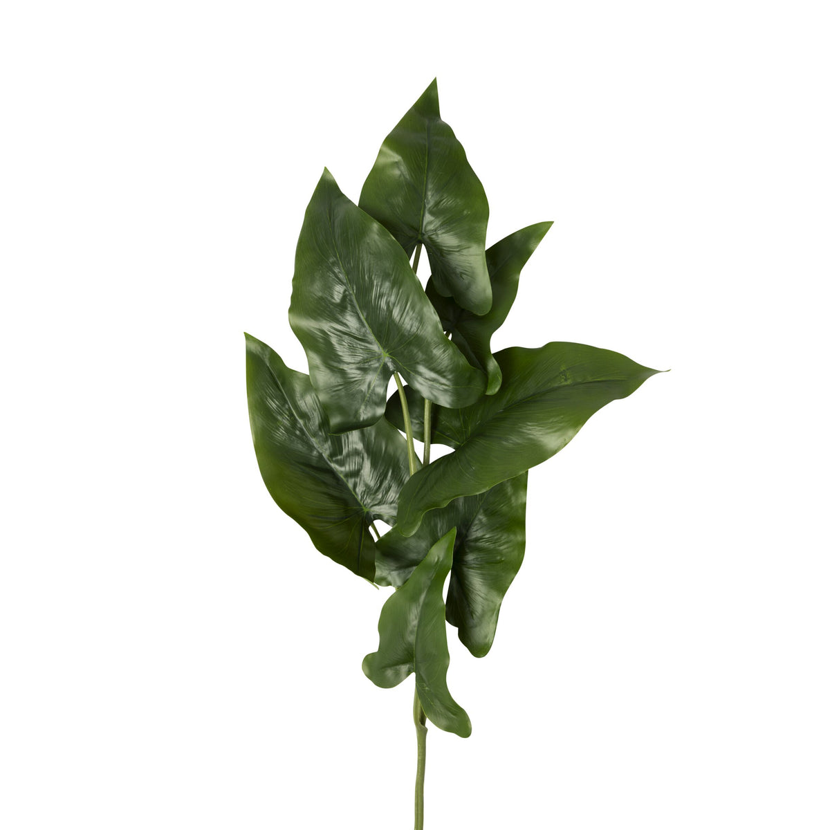 Bloomery Taro Leaves Stem 76cm