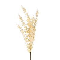Bloomery Eucalyptus Stem Cream 76cm