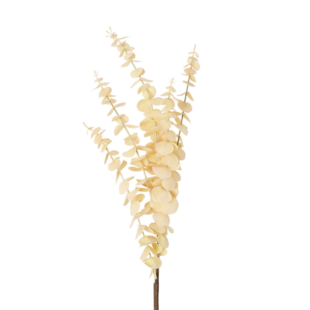 Bloomery Eucalyptus Stem Cream 76cm