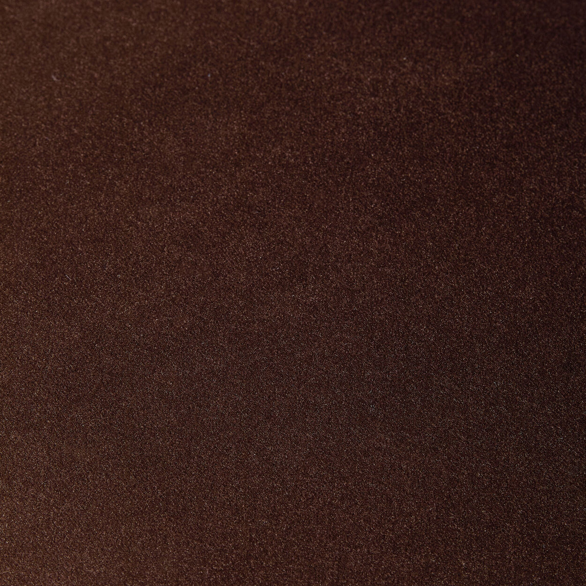 Cole Velvet Dining Chair Chocolate