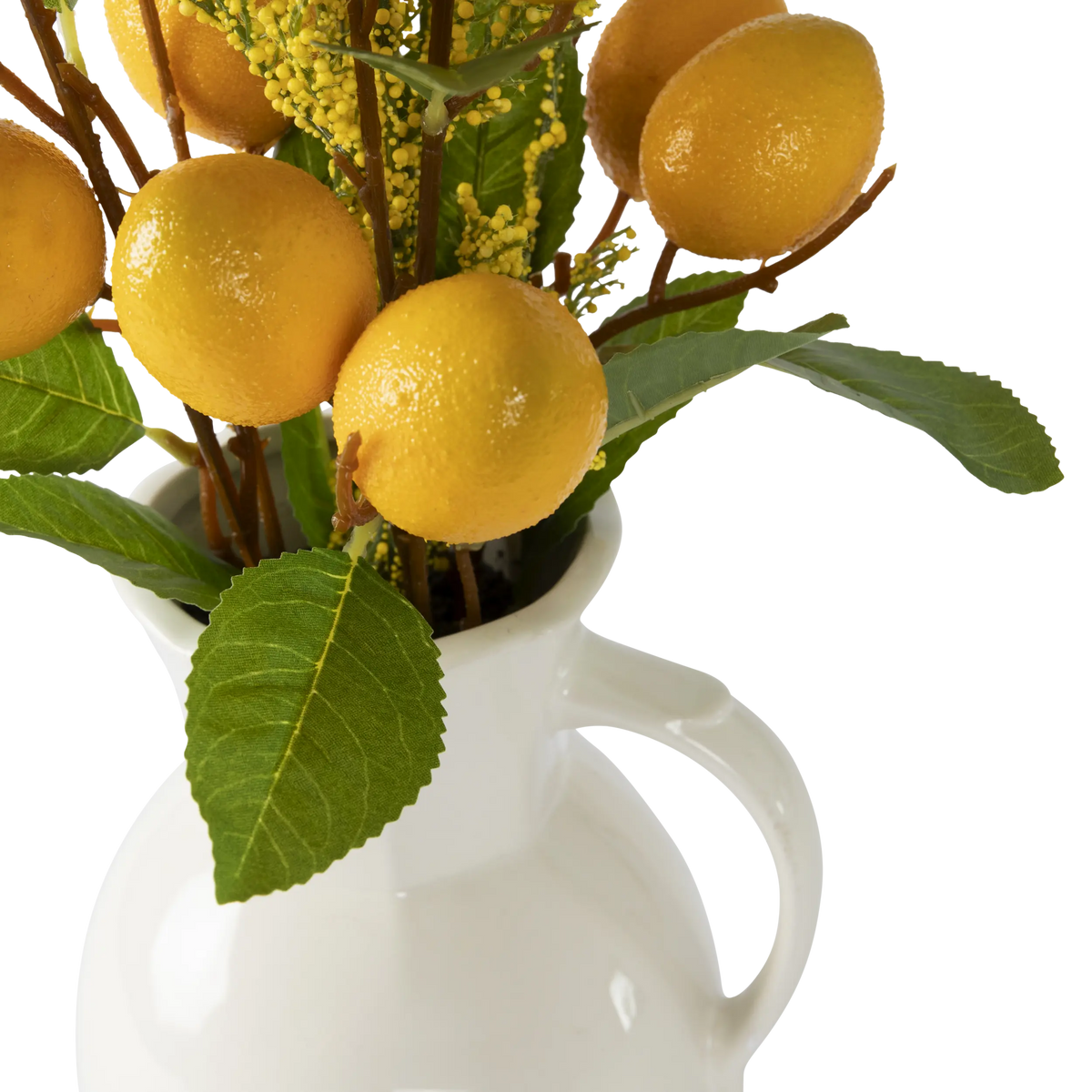 Folia Lemon Arrangement in Ceramic Jug