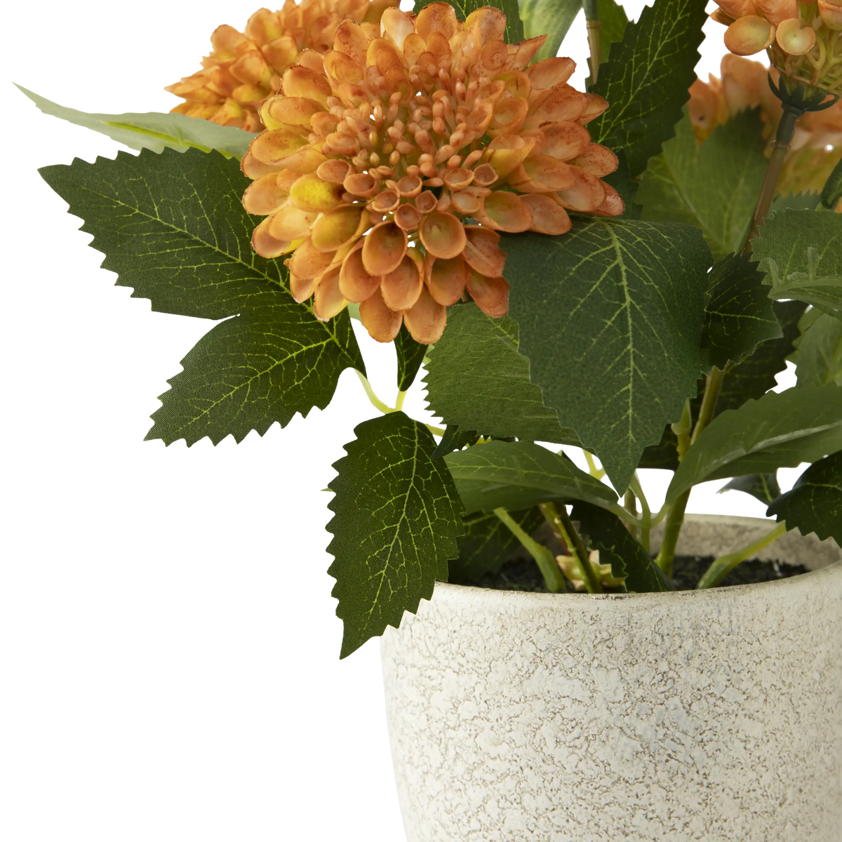 Folia Pom Pom Flowers in Paper Mache Pot
