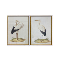 Vintage Storks Glass Framed Artwork Duo 120x80xm