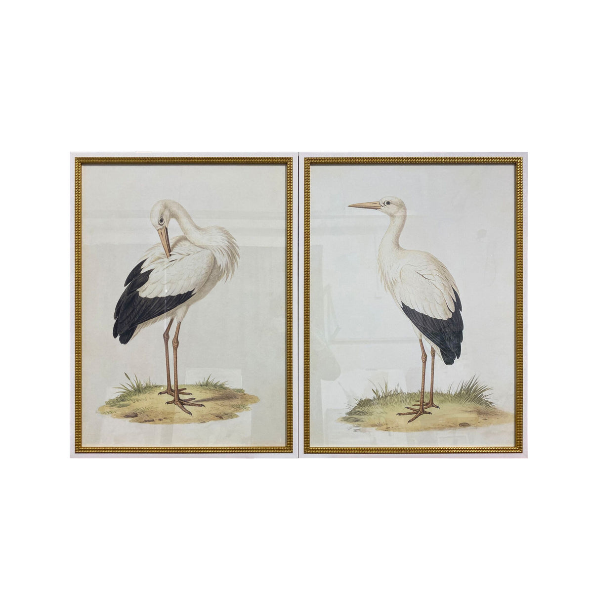 Vintage Storks Glass Framed Artwork Duo 120x80xm
