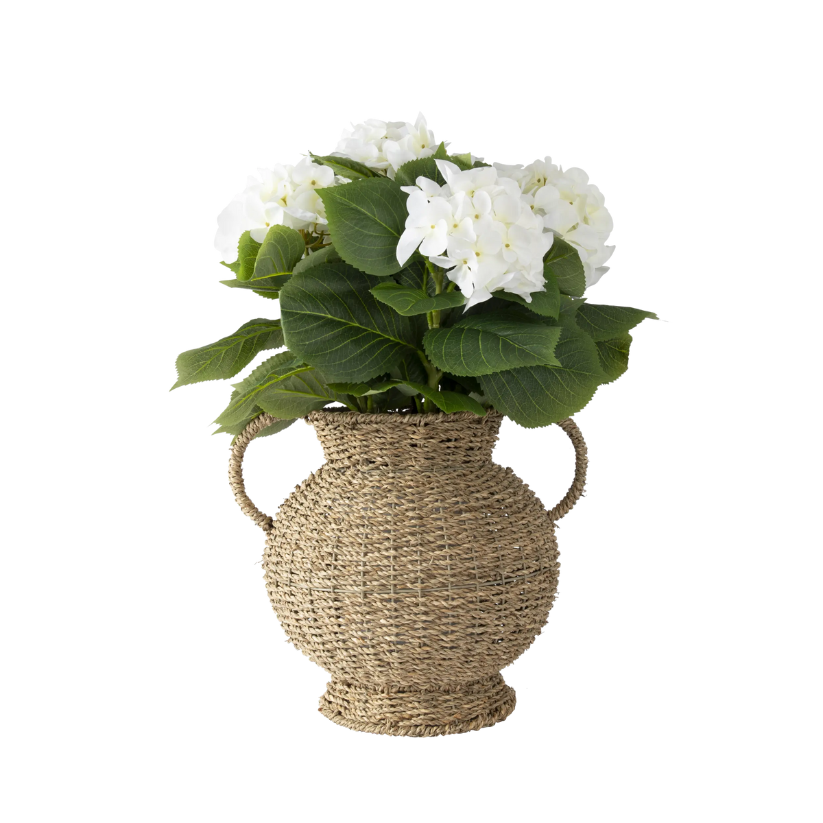 Folia Hydrangea Arrangement in Rattan Vase