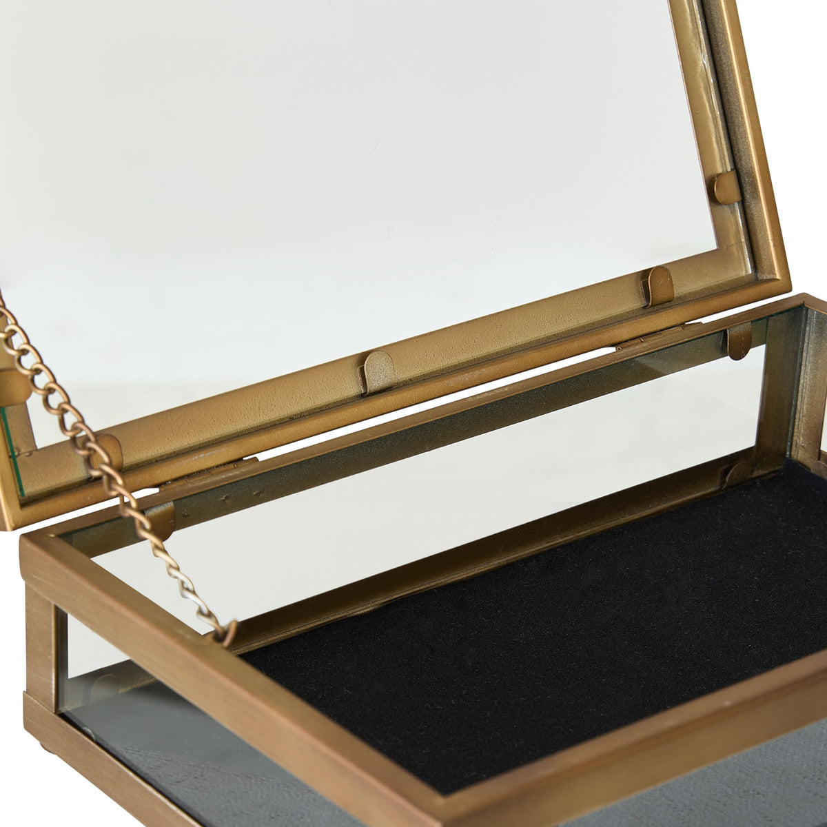 Darwin Jewellery Box