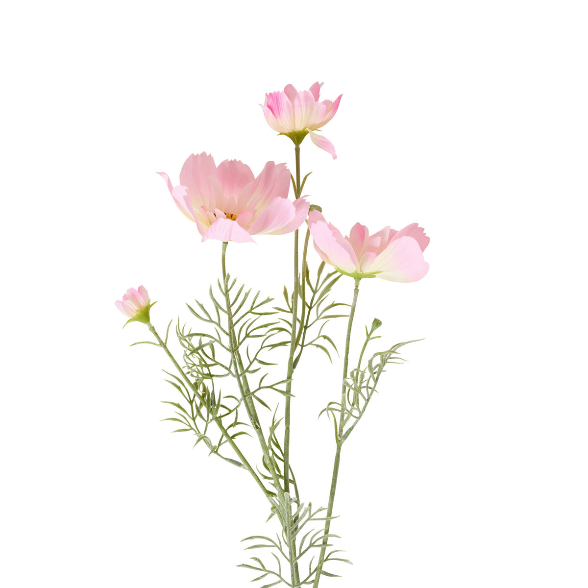 Bloomery Cosmos Stem Soft Pink 76cm