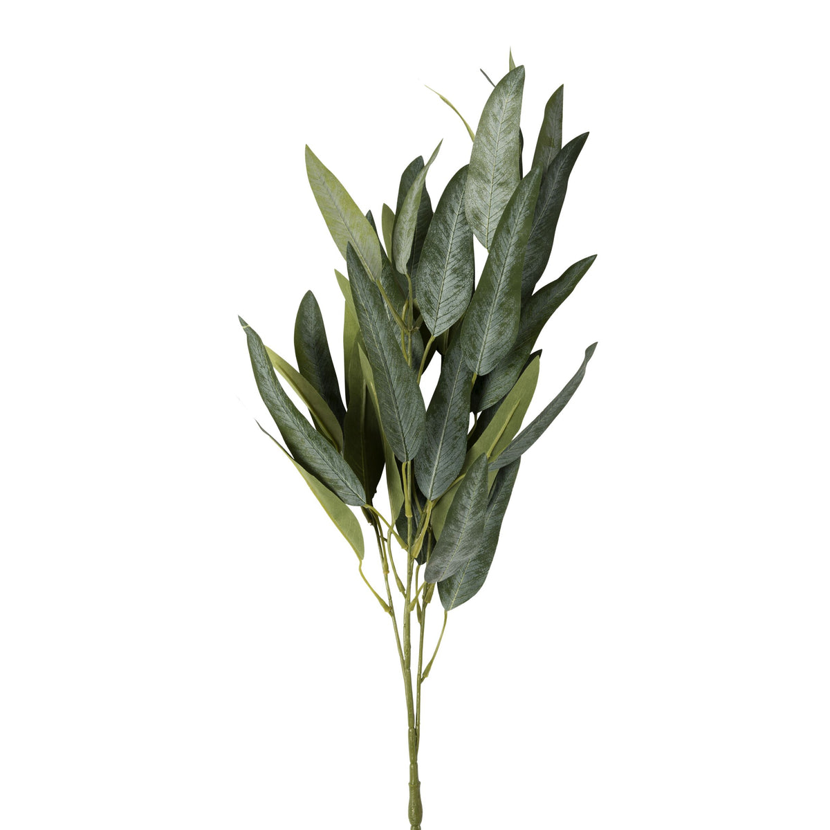 Bloomery Narrow Eucalyptus Stem 89cm