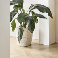 lifestyle_insitu: