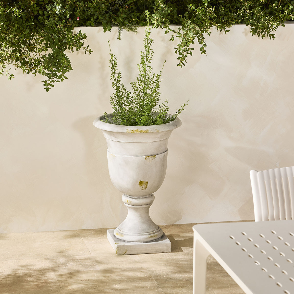 lifestyle_insitu: