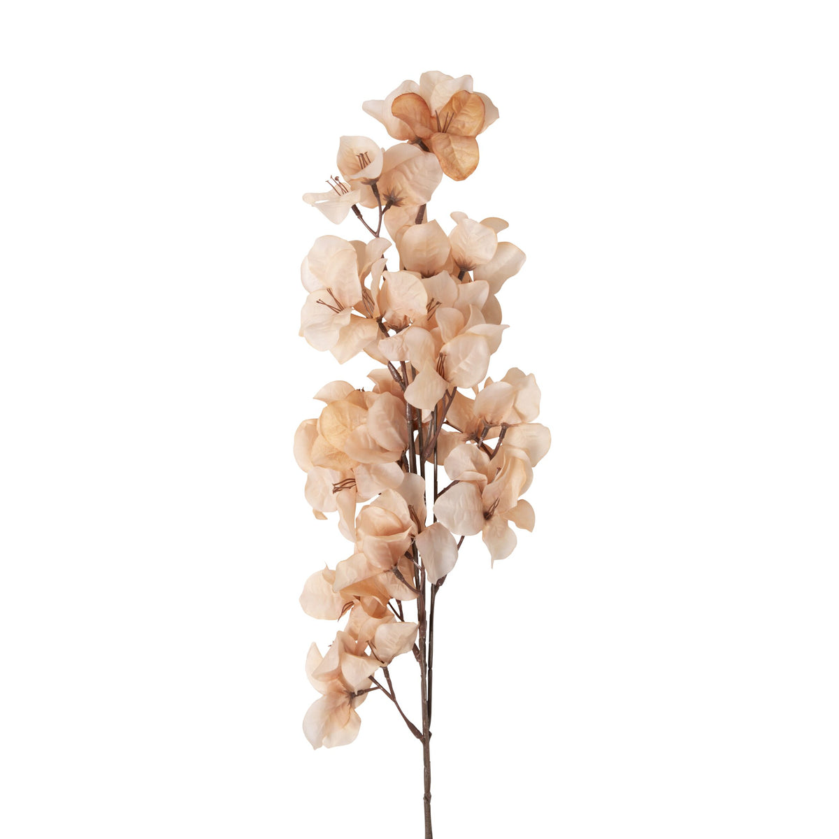 Bloomery Bougainvillea Stem Peach 86cm