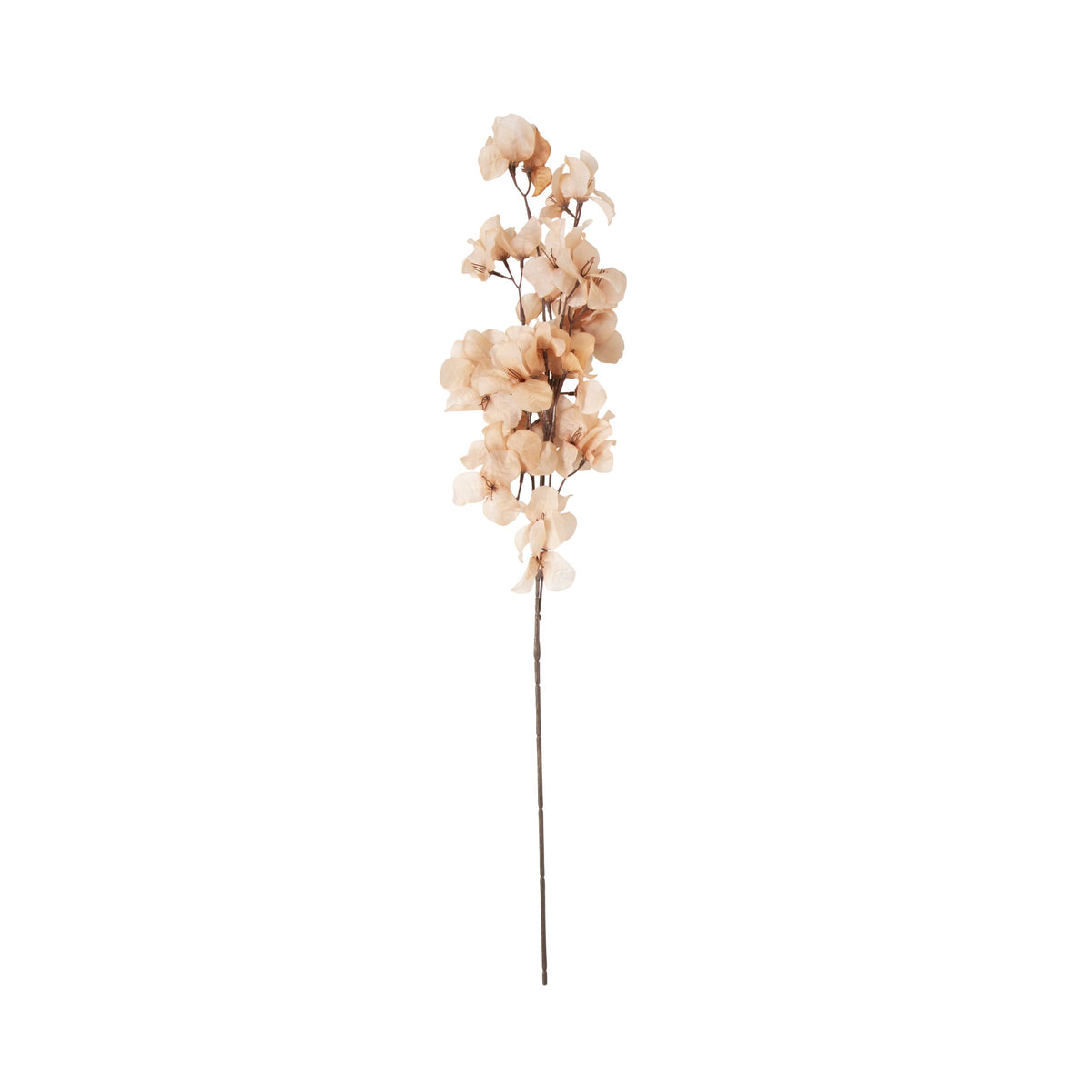 Bloomery Bougainvillea Stem Peach 86cm