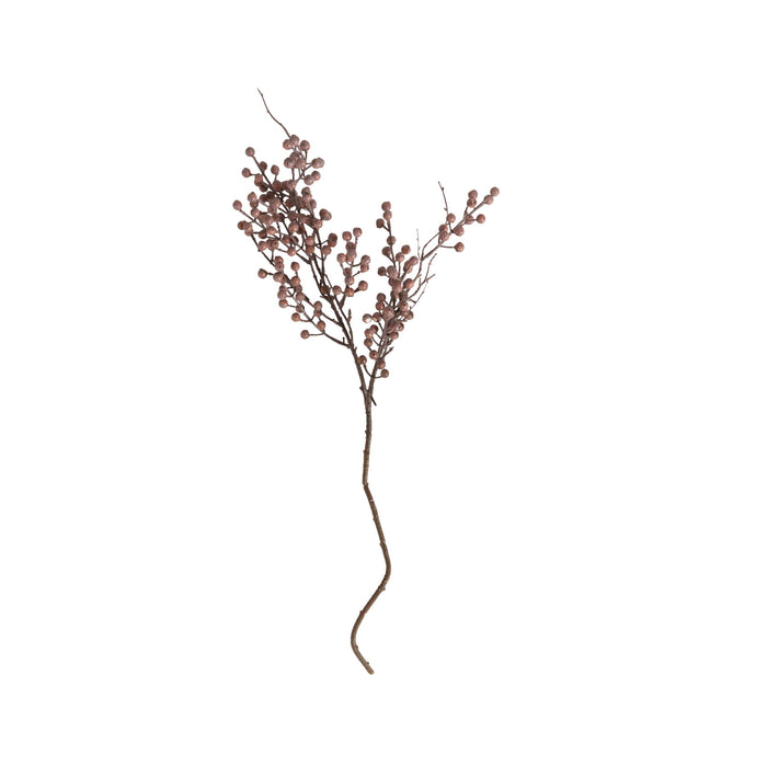 Bloomery Dried Eucalyptus Pod Stem 74cm
