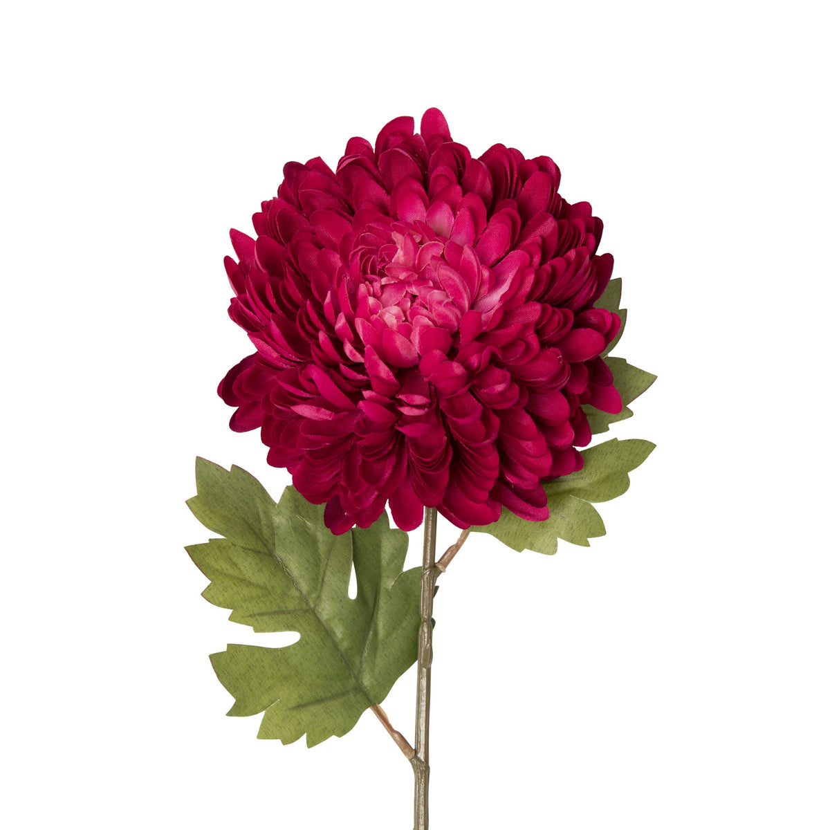 Bloomery Chrysanthemum Stem Red 61cm