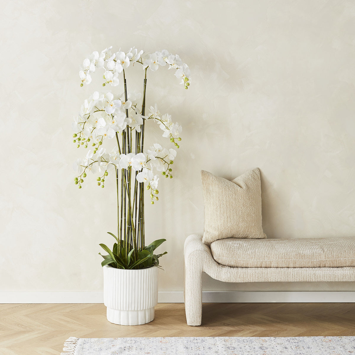 lifestyle_insitu: