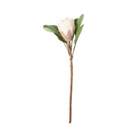 Bloomery Protea Stem Cream 53cm