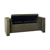 Alina Storage Trunk