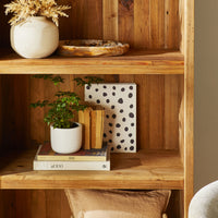 lifestyle_insitu: